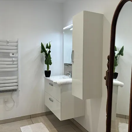 Maison Charmante Avec Piscine Et Climatisation A - Fr-1-489-516 *