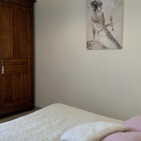 Maison Charmante Avec Piscine Et Climatisation A - Fr-1-489-516